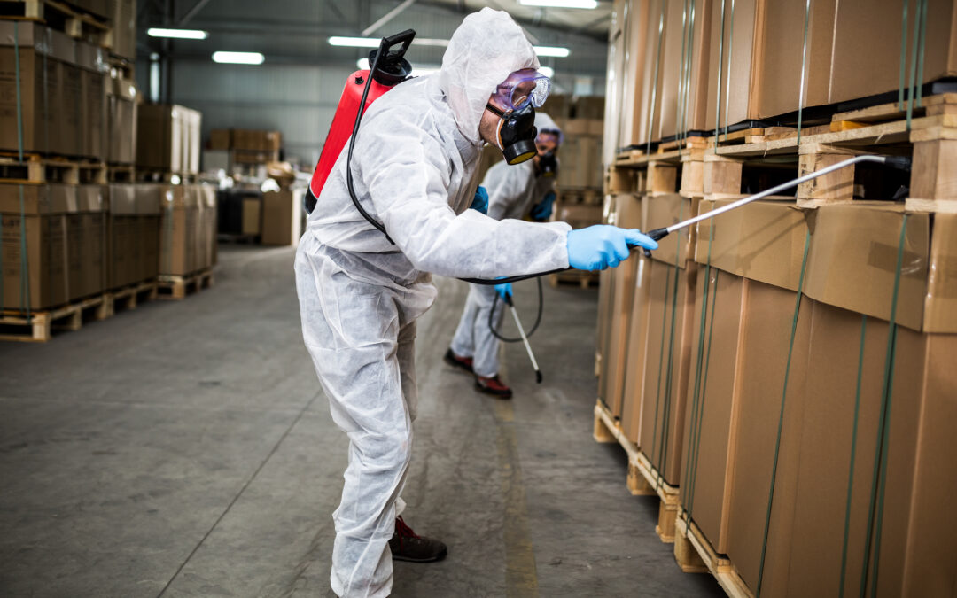 Preventing Pest Infestations: Essential Steps for a Clean Warehouse